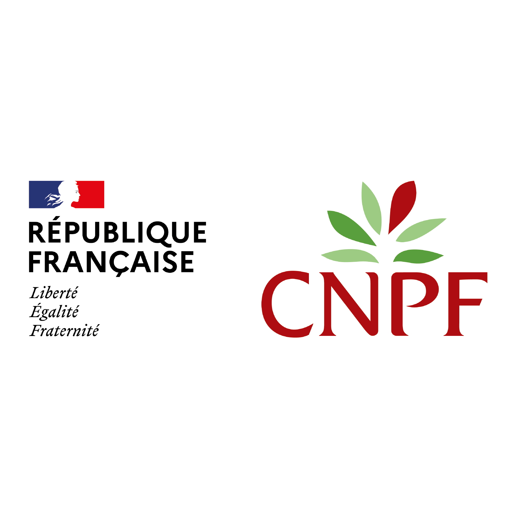 Logos-pour-site_Logo CNPF