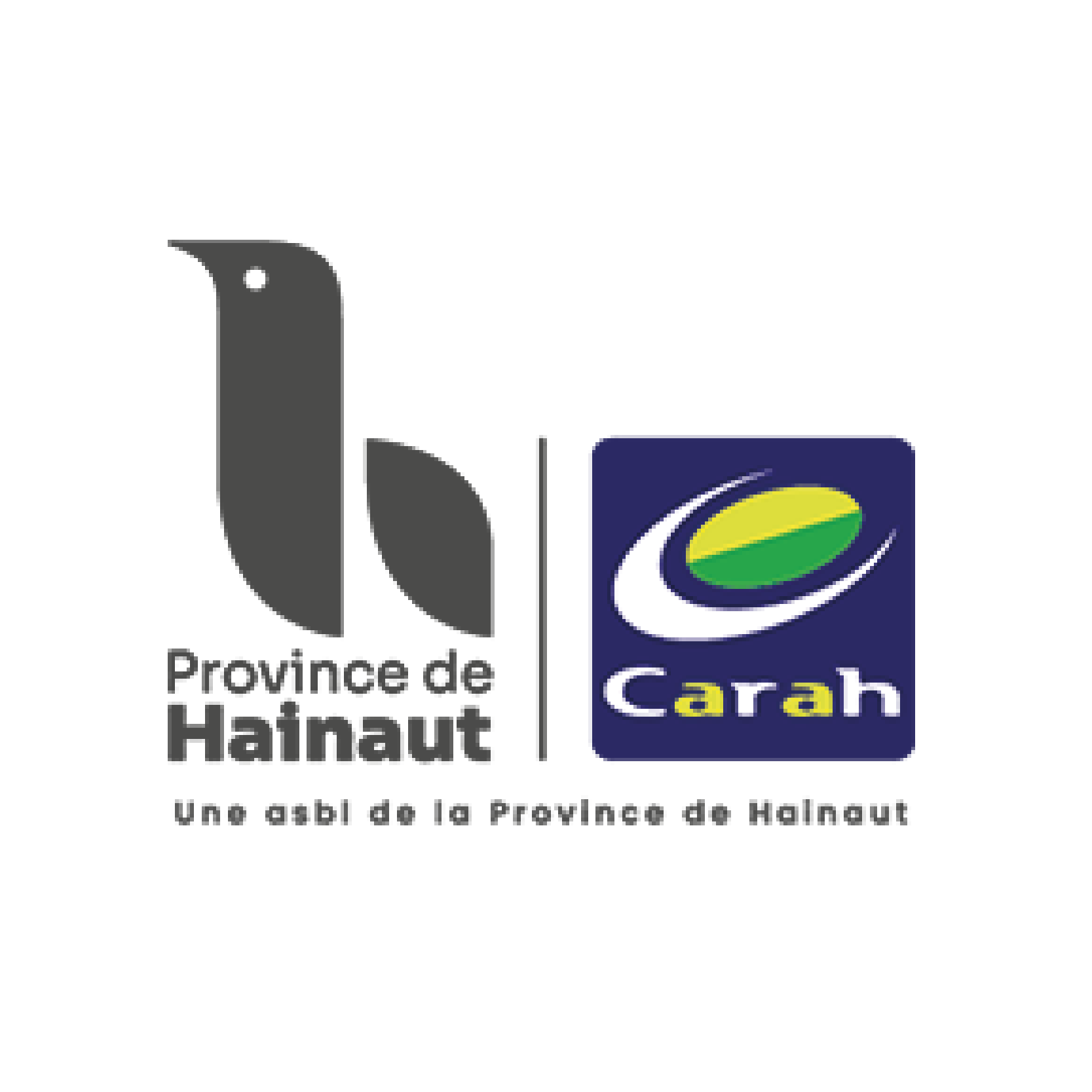 Logos-pour-site_Logo Carah